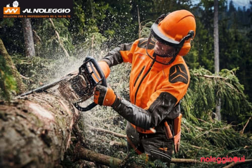 Noleggio Motosega alte prestazioni per lavori forestali