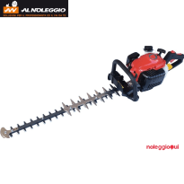 Tagliasiepe professionale