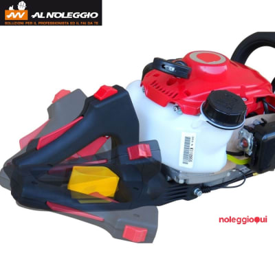 Noleggio Tagliasiepe professionale