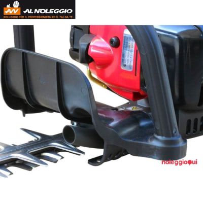 Noleggio Tagliasiepe professionale