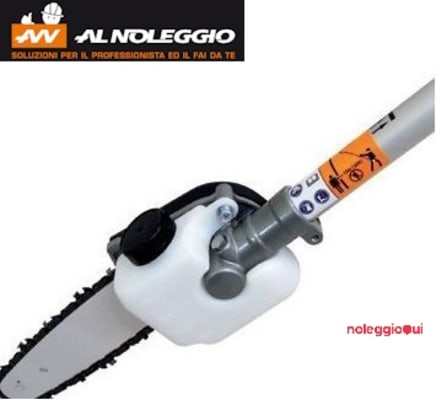 Noleggio Potatore telescopico leggero