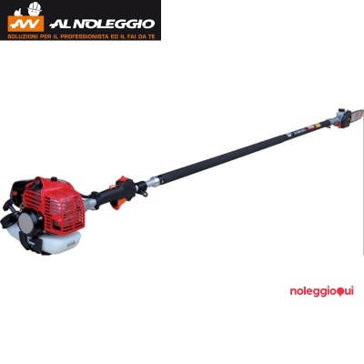 Noleggio Potatore telescopico leggero