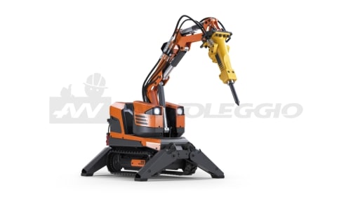 Noleggio Robot da demolizione