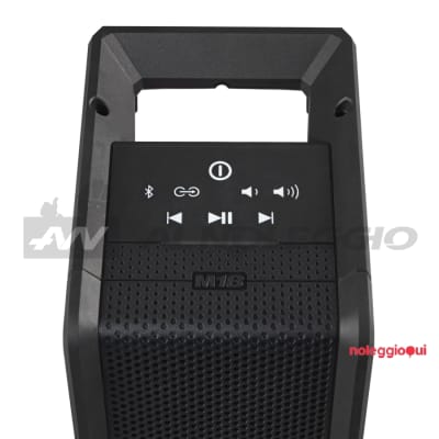 Noleggio Speaker da cantiere con powerbank