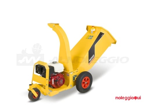 Noleggio Cippatore a motore 13 Hp