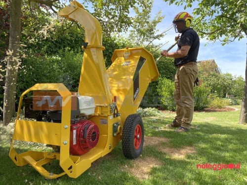 Noleggio Cippatore a motore 13 Hp