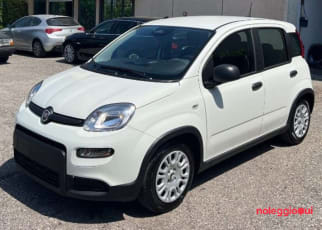 FIAT PANDA HYBRID NO SCORING MEDIO TERMINE