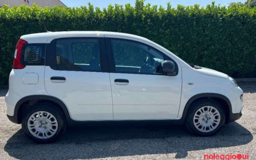 Noleggio FIAT PANDA HYBRID NO SCORING MEDIO TERMINE