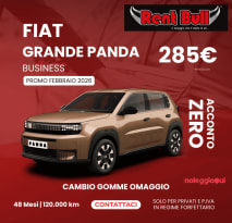 Lungo termine Fiat Grande Panda Hybrid Business