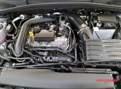 Noleggio SKODA FABIA MONTECARLO NOLEGGIO NO SCORING