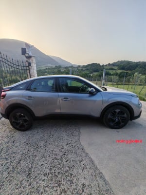 Noleggio