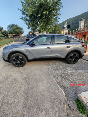 Noleggio