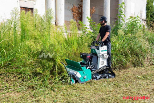 Noleggio Trinciasementi cingolato