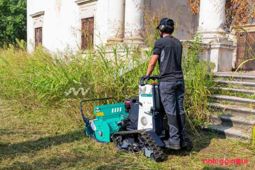 Noleggio Trinciasementi cingolato