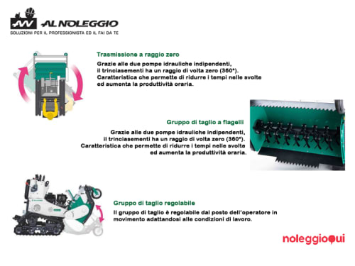 Noleggio Trinciasementi cingolato