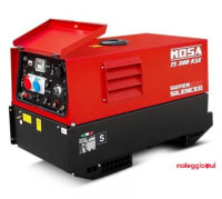 Noleggio MOTOSALDATRICE  TS 30 SC/EL