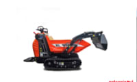 Noleggio Motocarriola cincolata C60