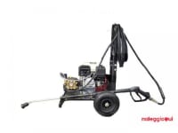 Noleggio FDX2 13/180 a benzina ad acqua fredda