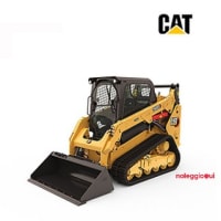 Noleggio Pala cingolata compatta CAT 2593D