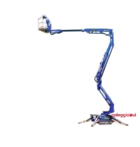 Noleggio RAGNI ALTEZZA 17 M