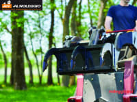 Noleggio Dingo con scarificatore