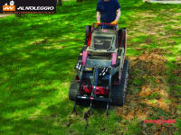Noleggio Dingo con scarificatore