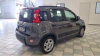 Noleggio FIAT PANDA HYBRID